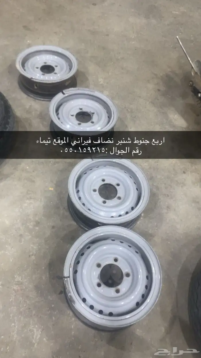 جنوط شنبر 0
