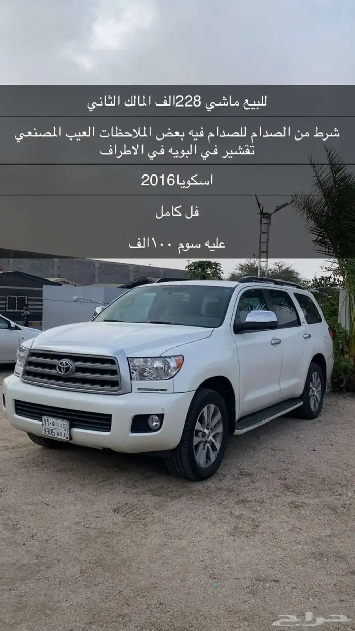سكويا للبيع 11