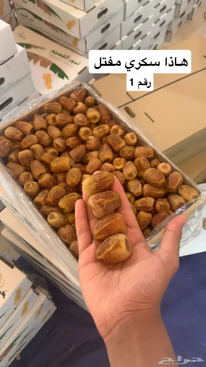 تمر تمور فاخرة 7
