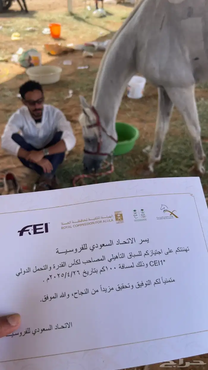 تدريب وتعليم ركوب الخيل و ايواء 4