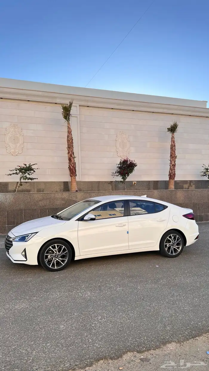 النتراء 2020 6
