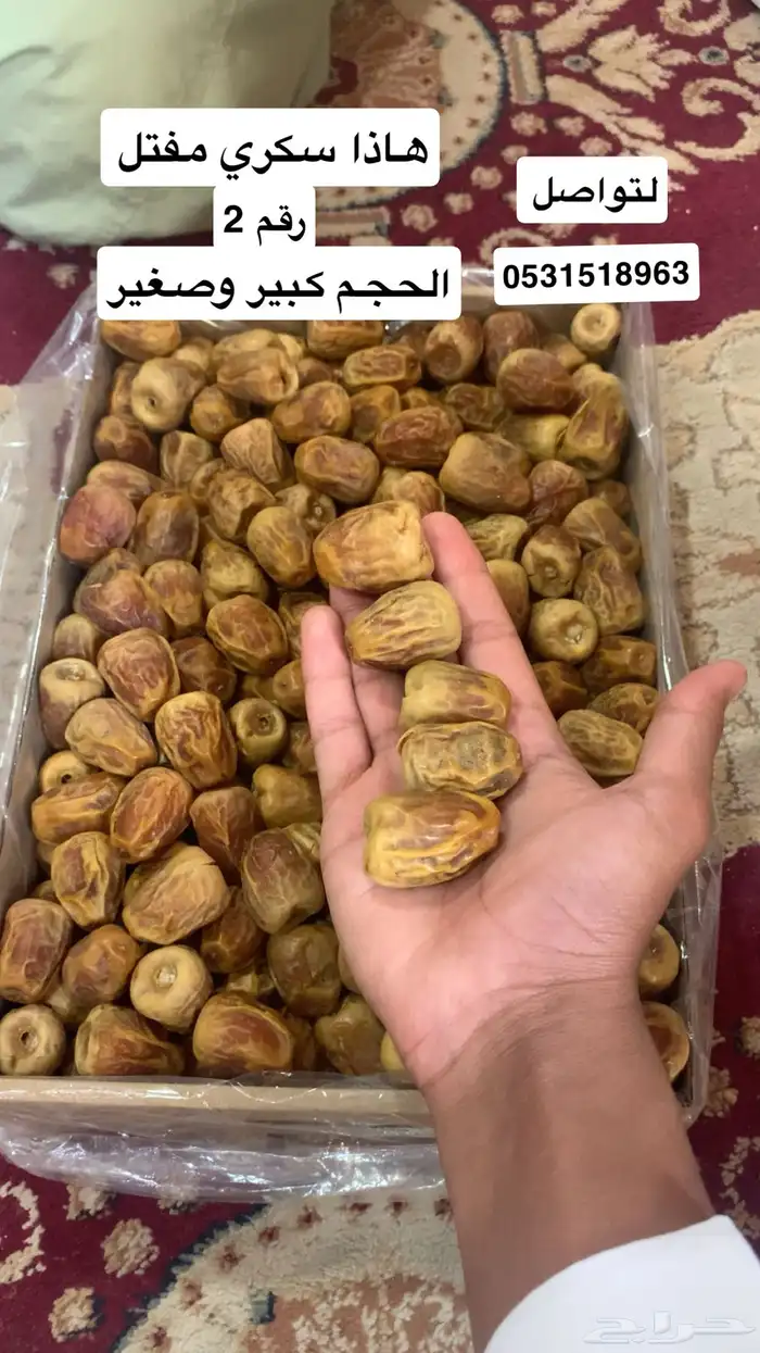 تمر تمور فاخرة 4