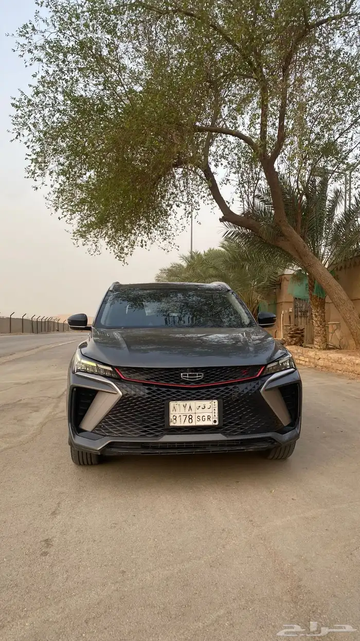 جيلي كولراي 2024 بيع سمح 4
