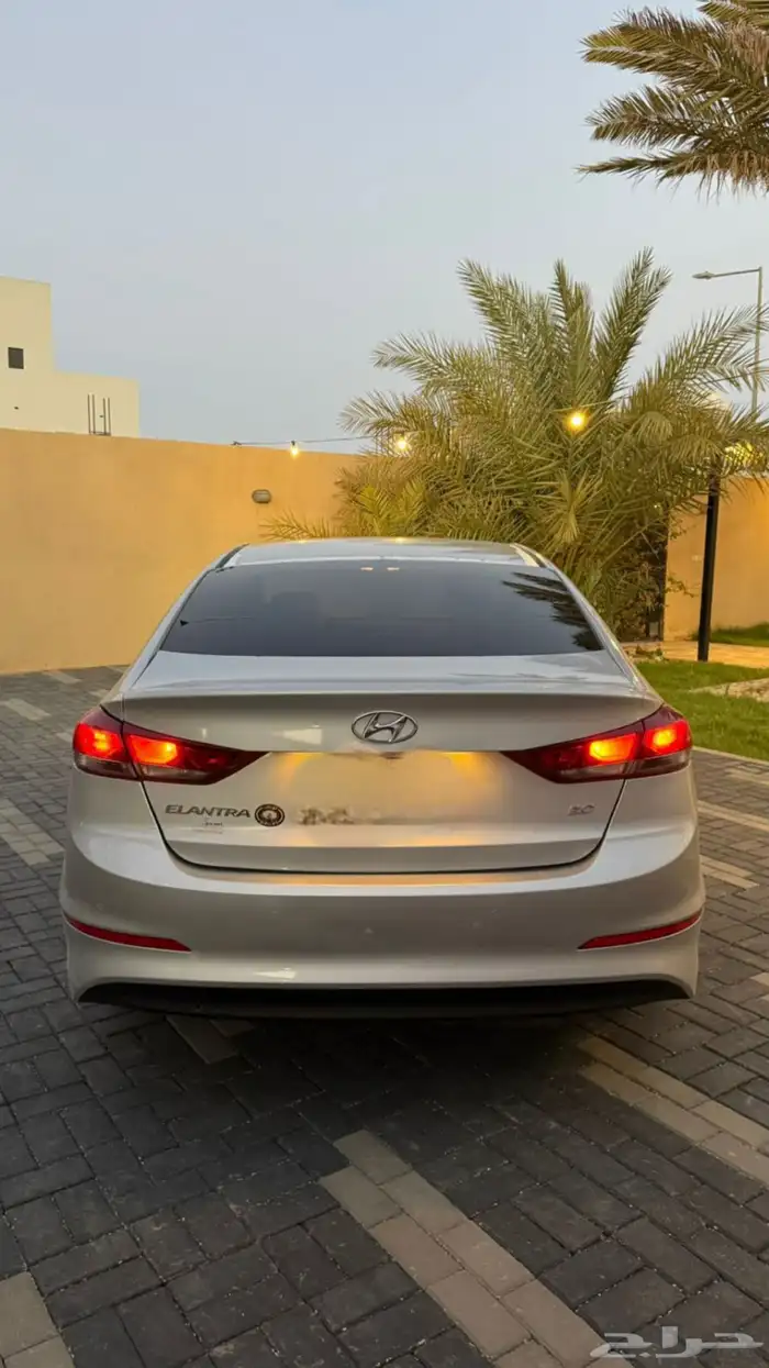 النتراء 2018 7