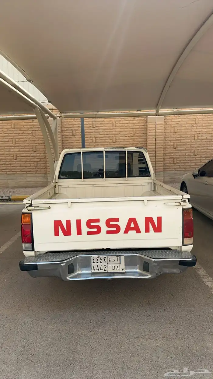 ددسن نضيف 99 8