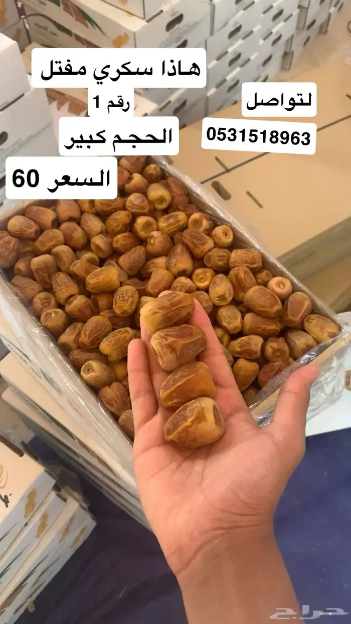 تمر تمور فاخرة 10