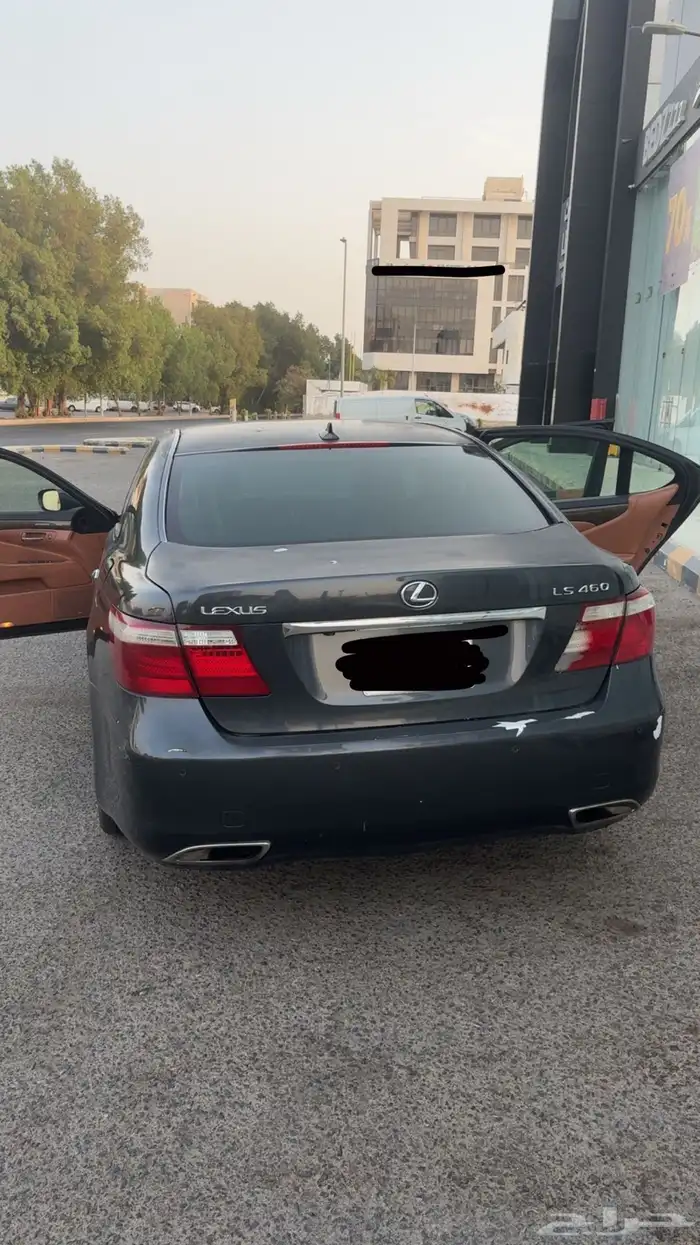لكزس شورت امريكي 1