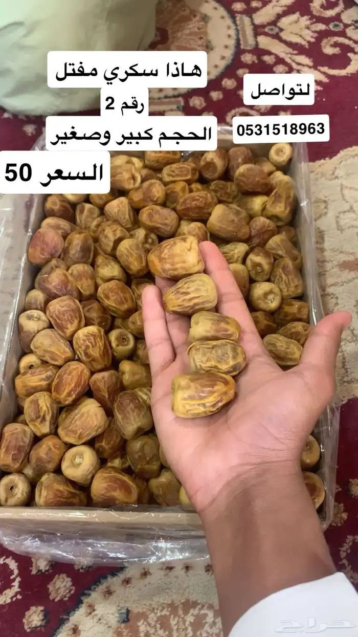 تمر تمور فاخرة 9