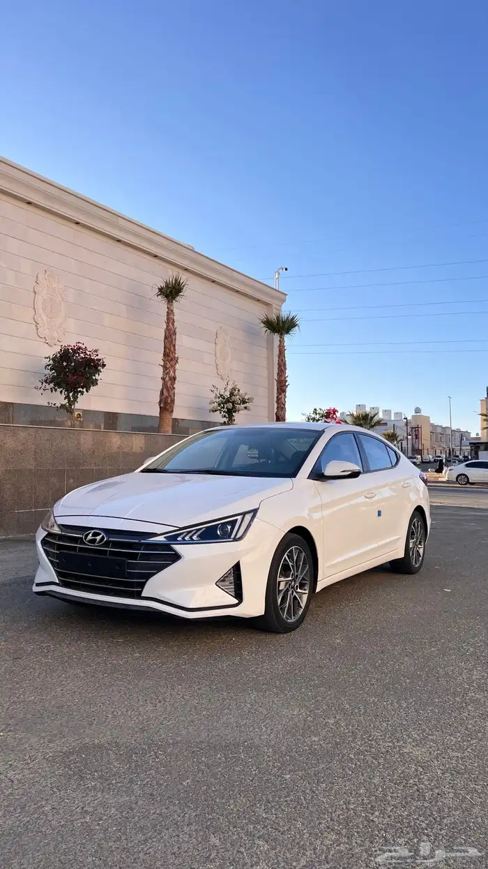 النتراء 2020 5