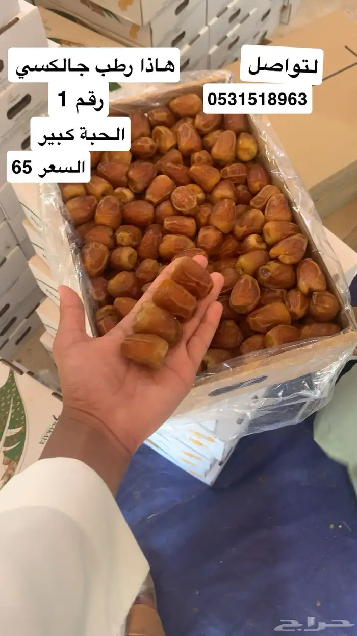 تمر تمور فاخرة 11