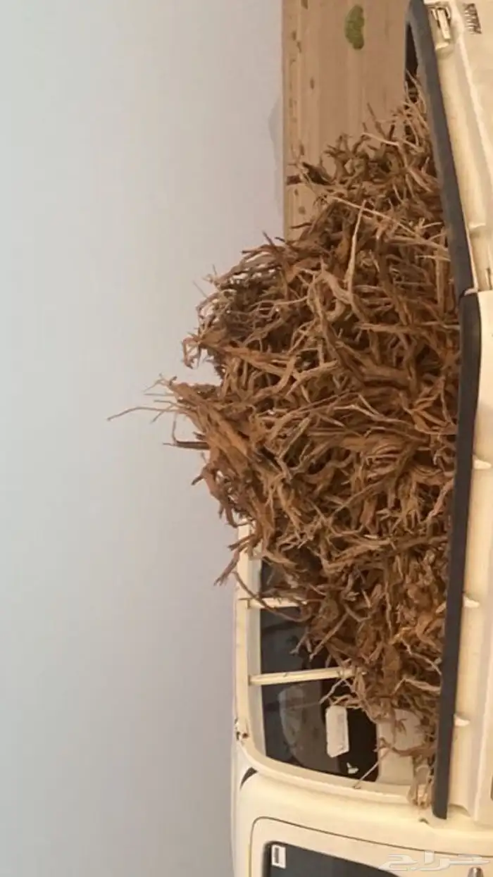 حملة غمارتين 0