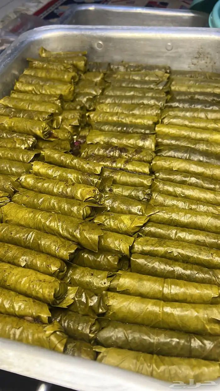 ورق عنب بحري 0