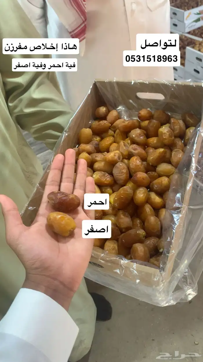 تمر تمور فاخرة 5