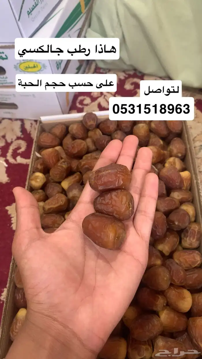تمر تمور فاخرة 2