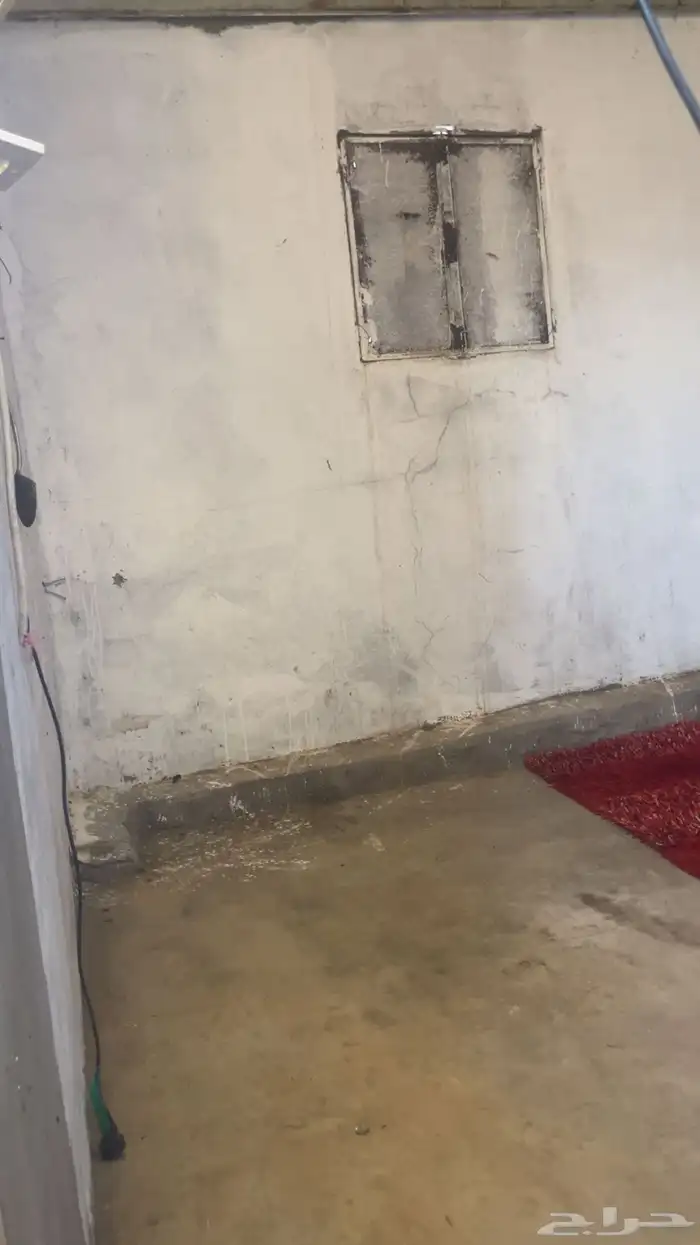 حوش للتقبيل حق غنام وخيول بمنتزه الردف 4