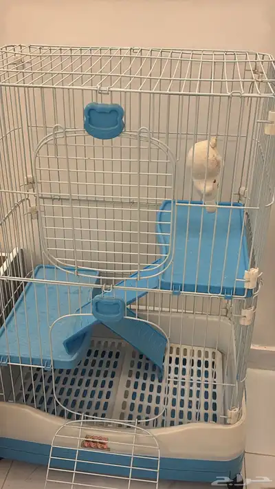 بيت قطط بحاله سليمه 0