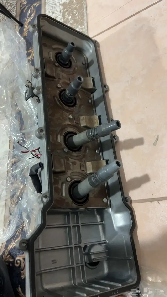عطاء راس برادو مع كويلات 3