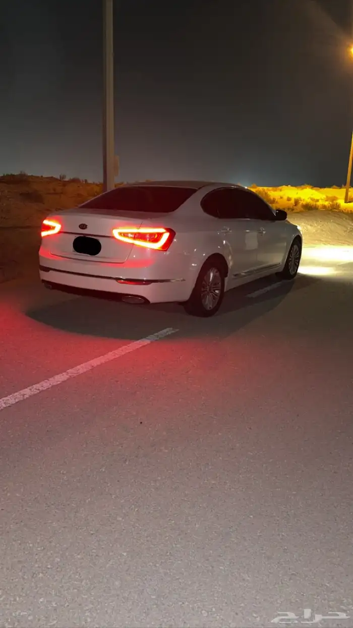 كادينزا 2014 2