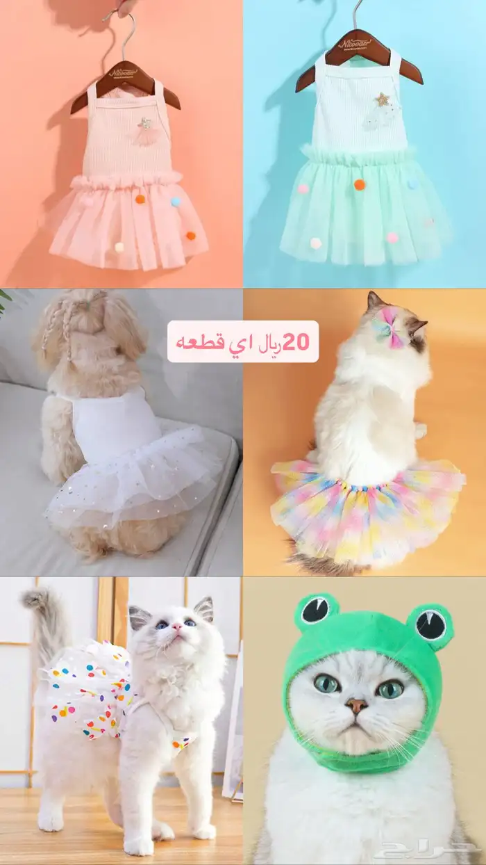 مستلزمات قطط 0