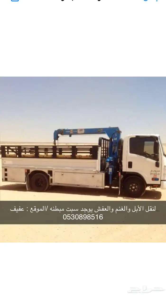 دينا لنقل الأبل   عفيف   ظلم   البجادية   الحوميات   ضريه 0
