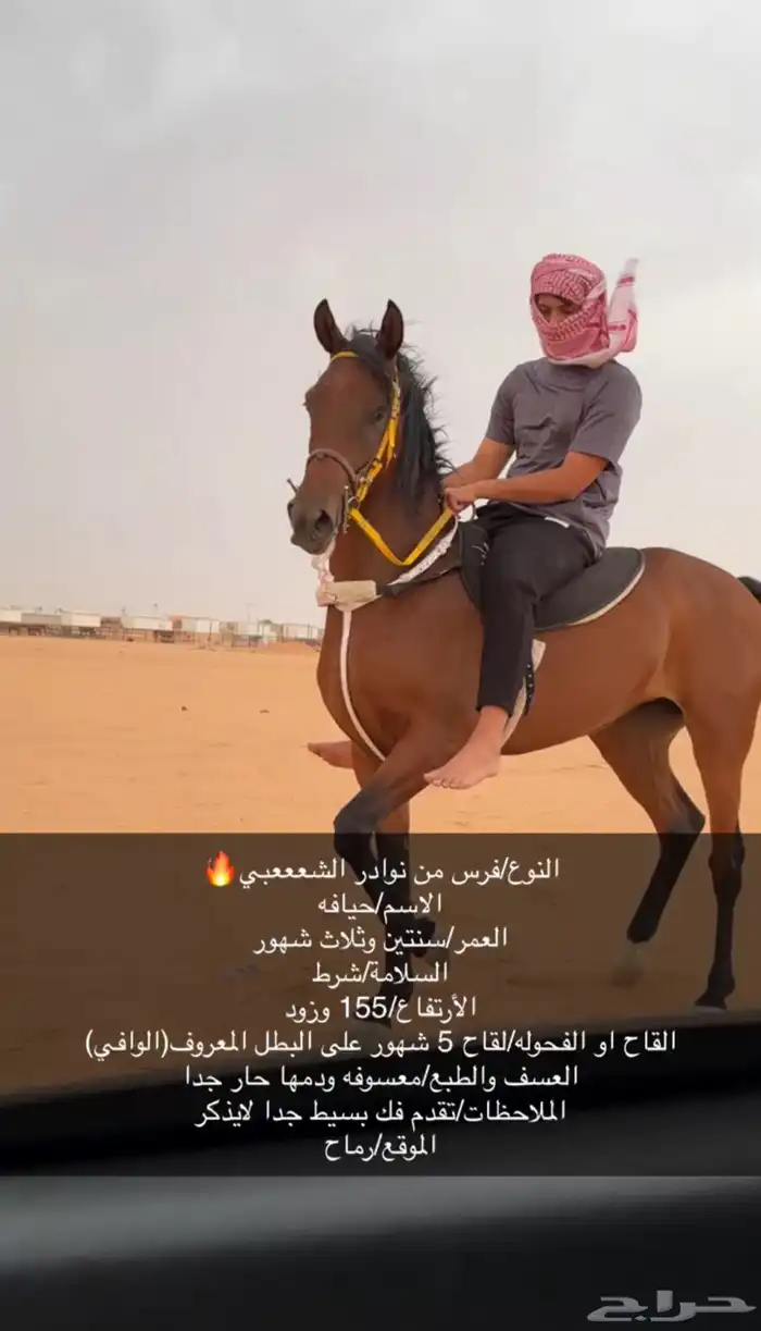خيل 0