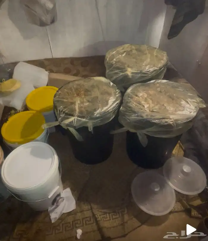 عسل للبيع 0