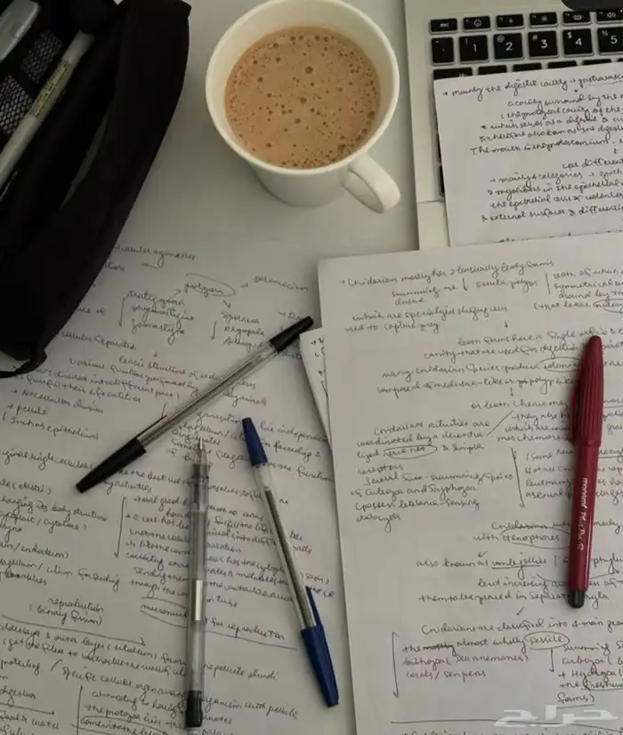 خدمات إلكترونيه 0