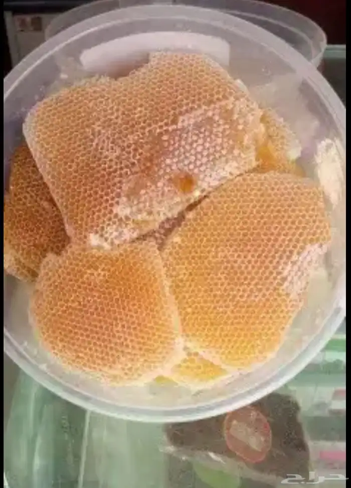 عسل سدر عصيمي ملكي وطلح انتاج السنة 1