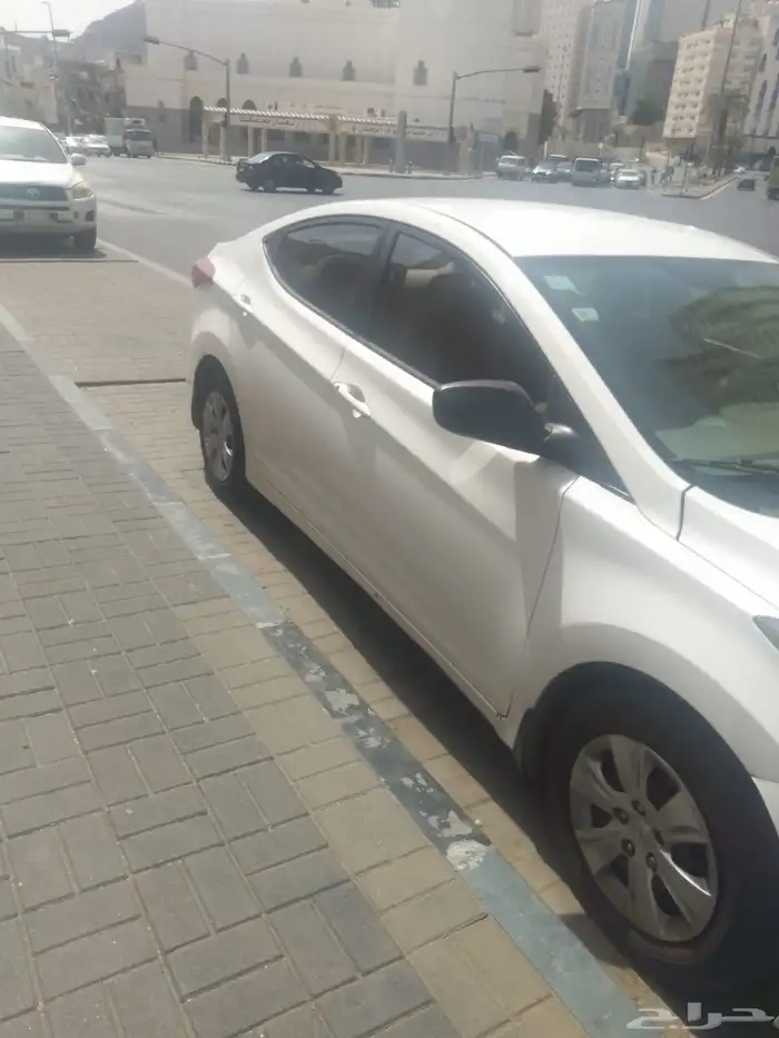 النتراء للبيع 2