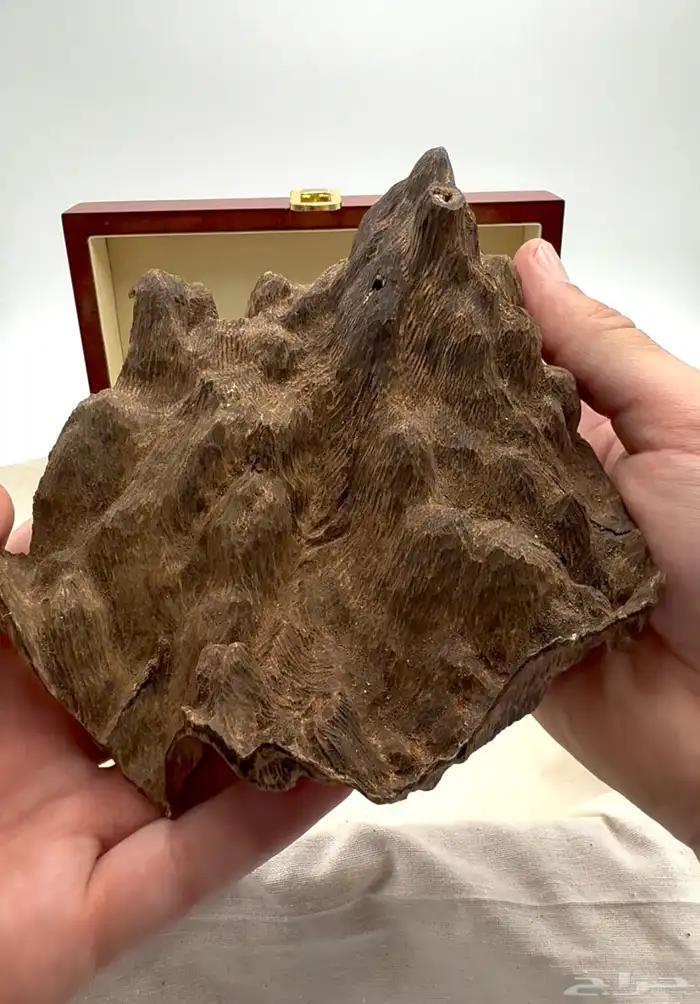بخور طبيعي نادر ( كسرة ماليزي ترنقانو قديمة نادرة ) 0