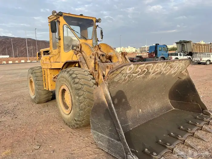 شيول المدينه 0