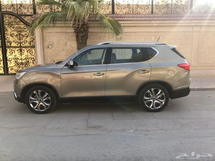 سانج يونج ريكستون 2019 3