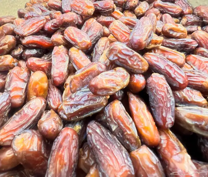 توفير تمر صفري 2