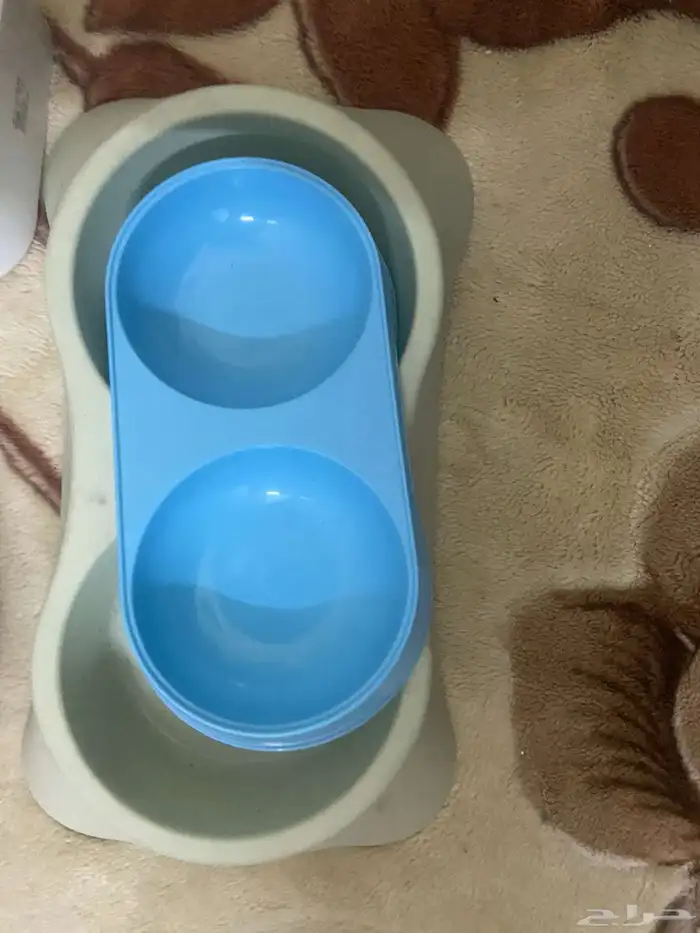 الكل قطط لبيع ومستلزمات قطط 2
