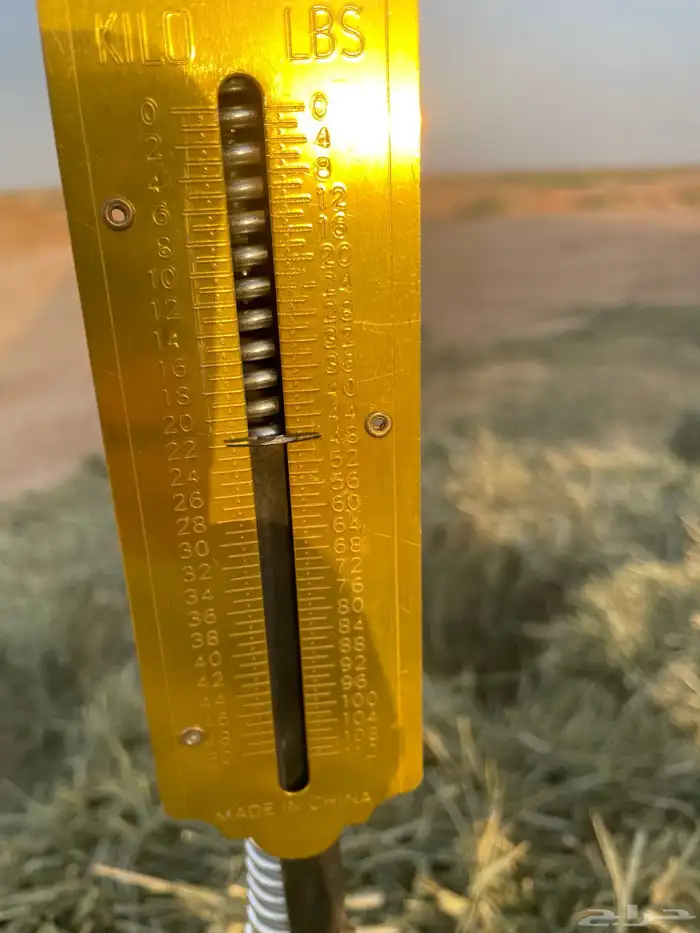 علف بلوبنك 3