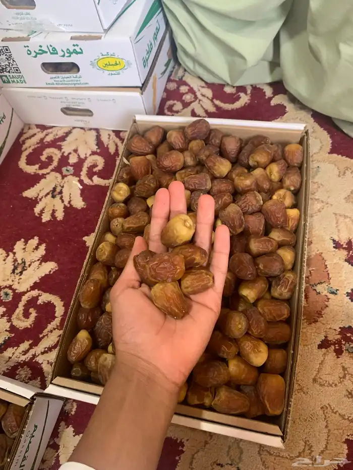 تمر تمور فاخرة 14