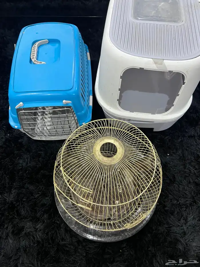 صندوق القط 1
