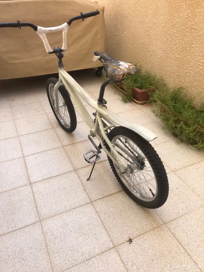 سياكل 6