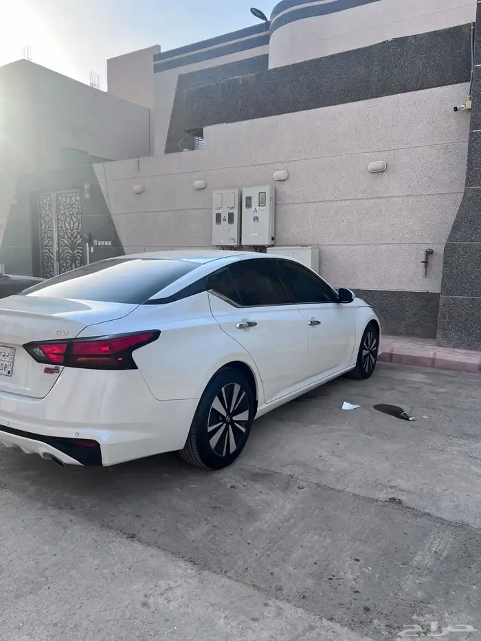 للبيع التيما 2022 1