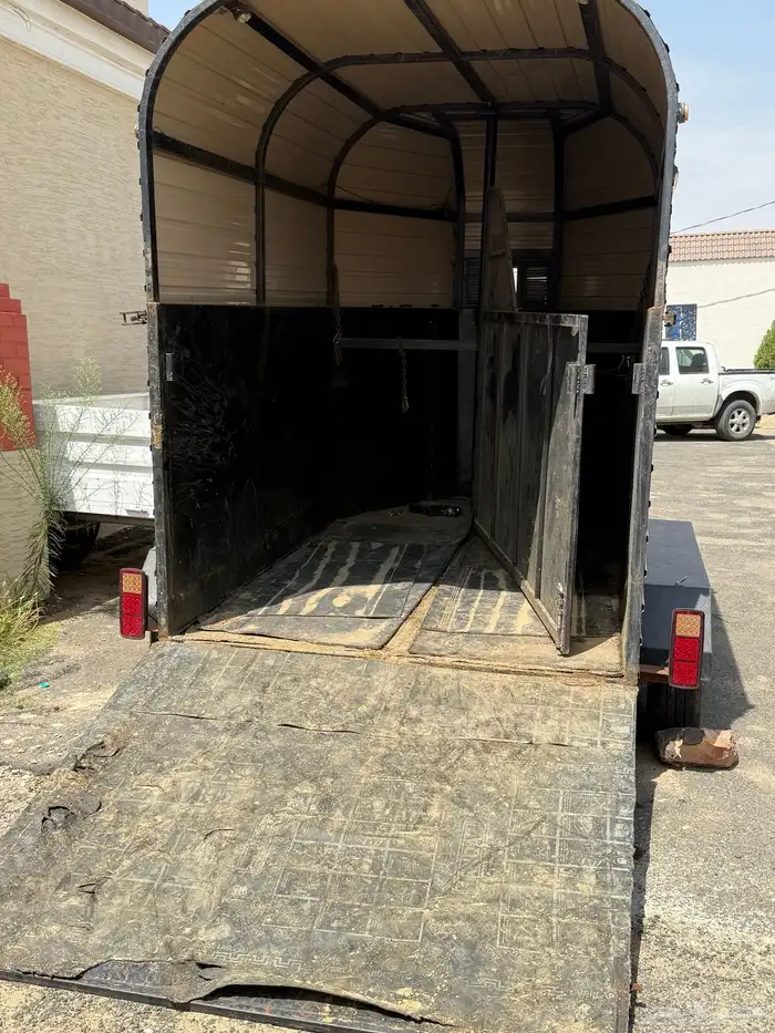 عربة خيل 13