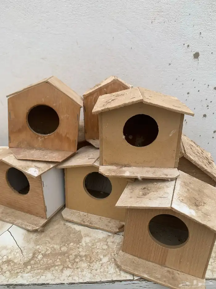 اعشاش زيبرا اكواخ وسعف 1