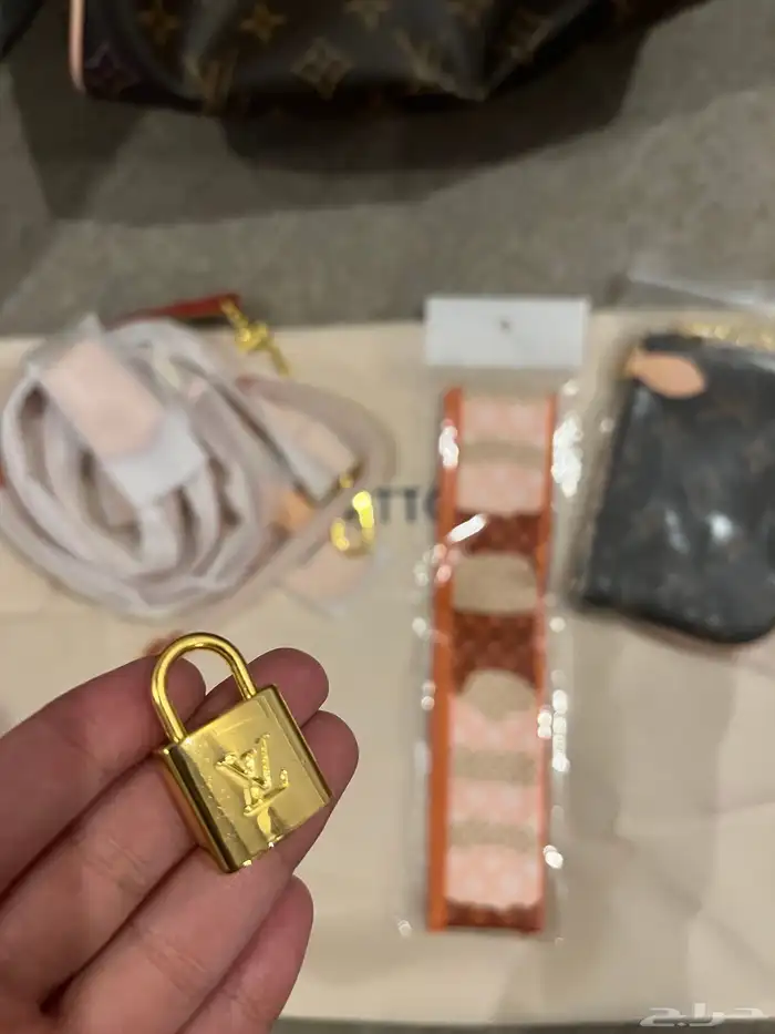 Lv شنطة سبيدي 4
