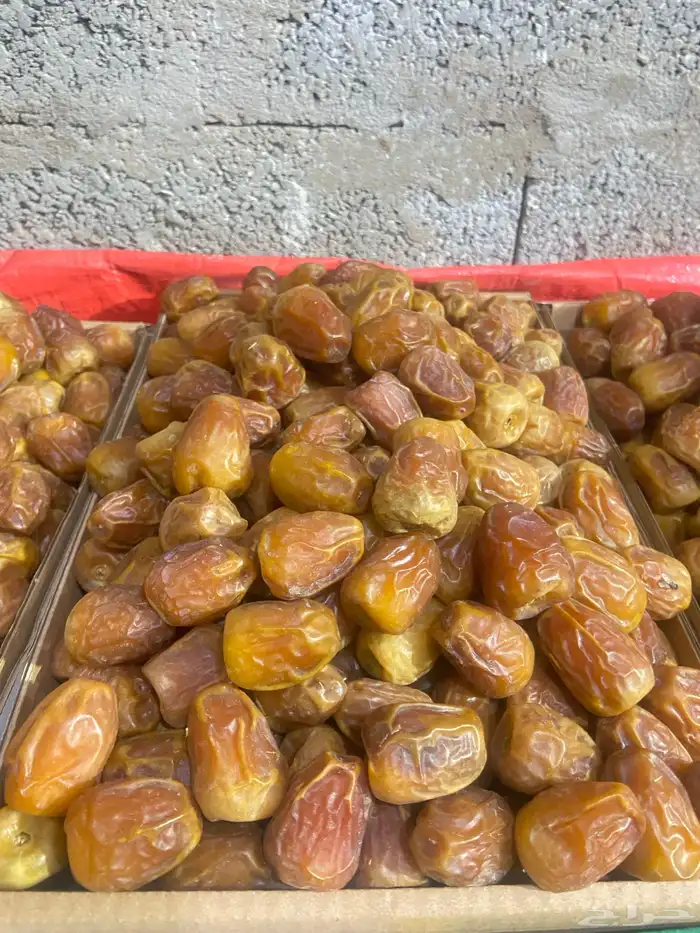 تمر جالكسي 0