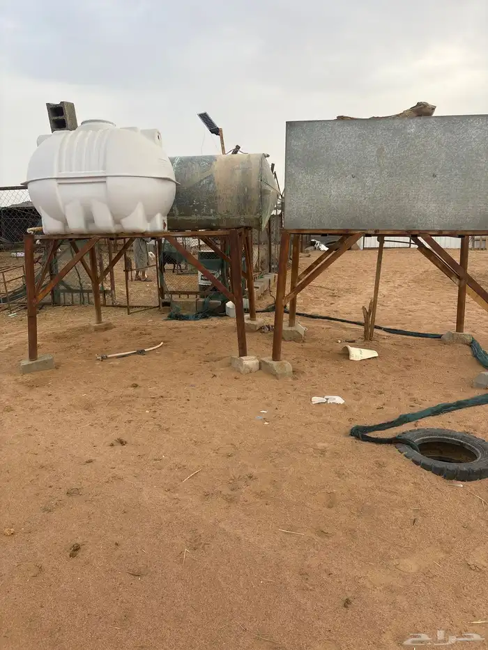 توانكي للبيع 2