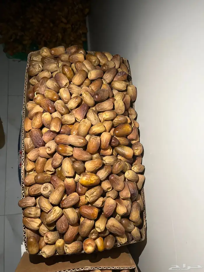 تمر مواكيل نجران 0