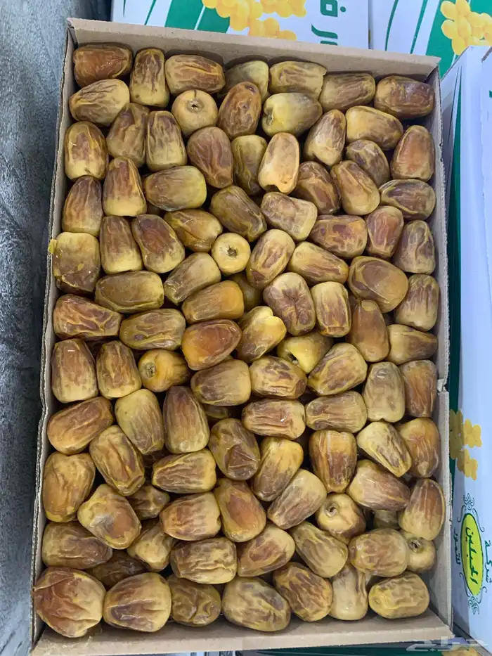 تمر تمور فاخرة 3