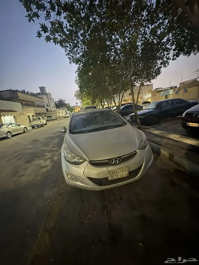 النترا 2013 5