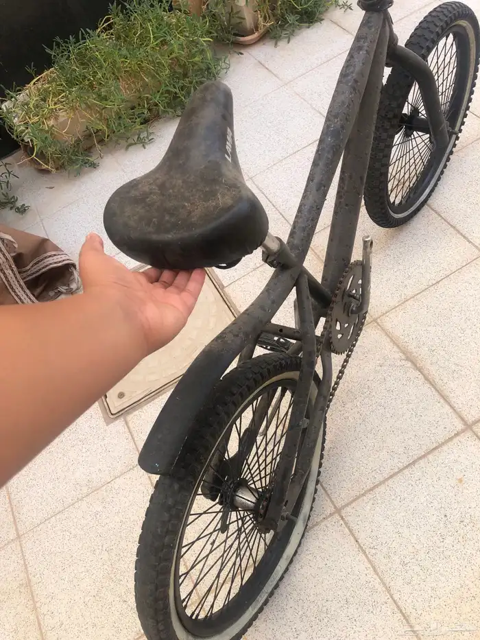 سياكل 10