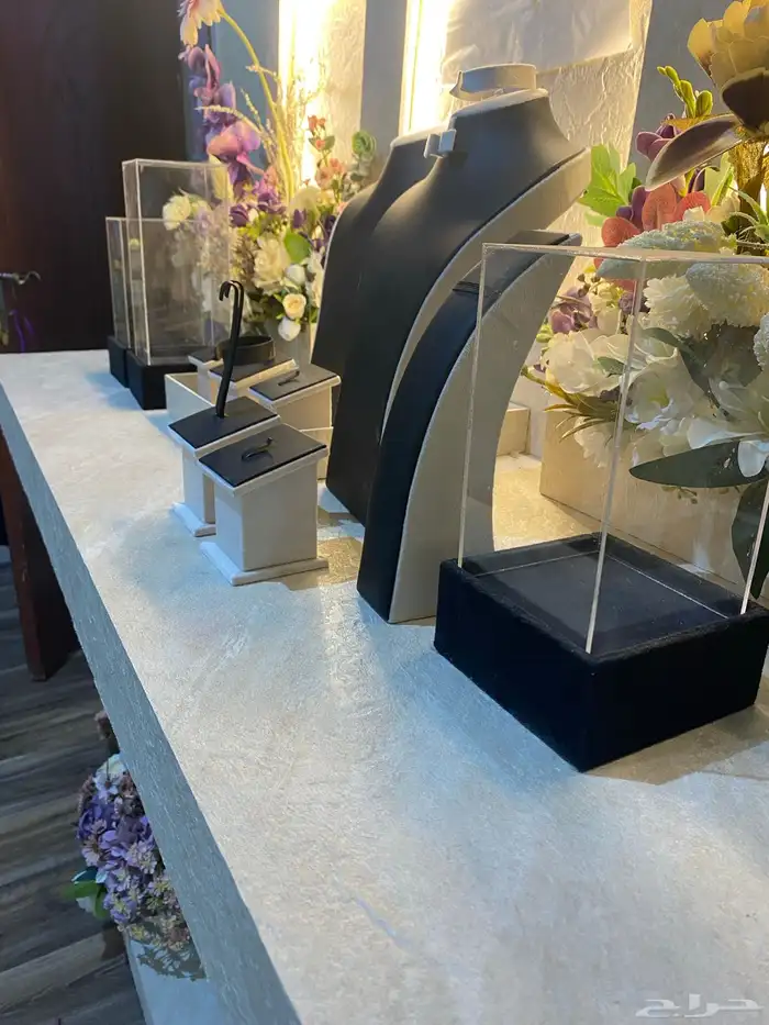 عربيه شبكه 1