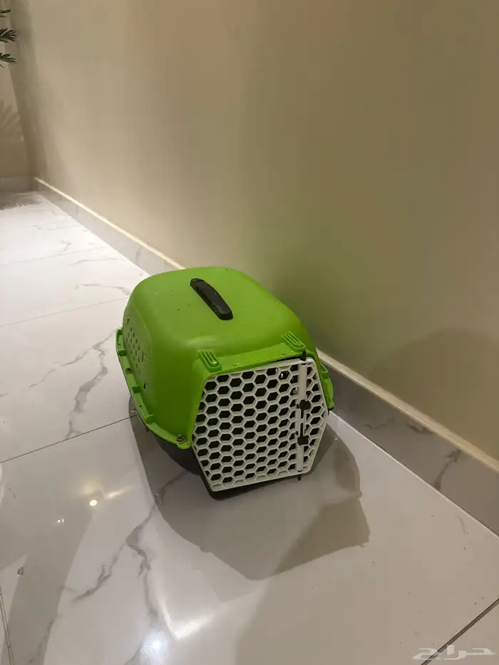 اغراض قطط جديده 1